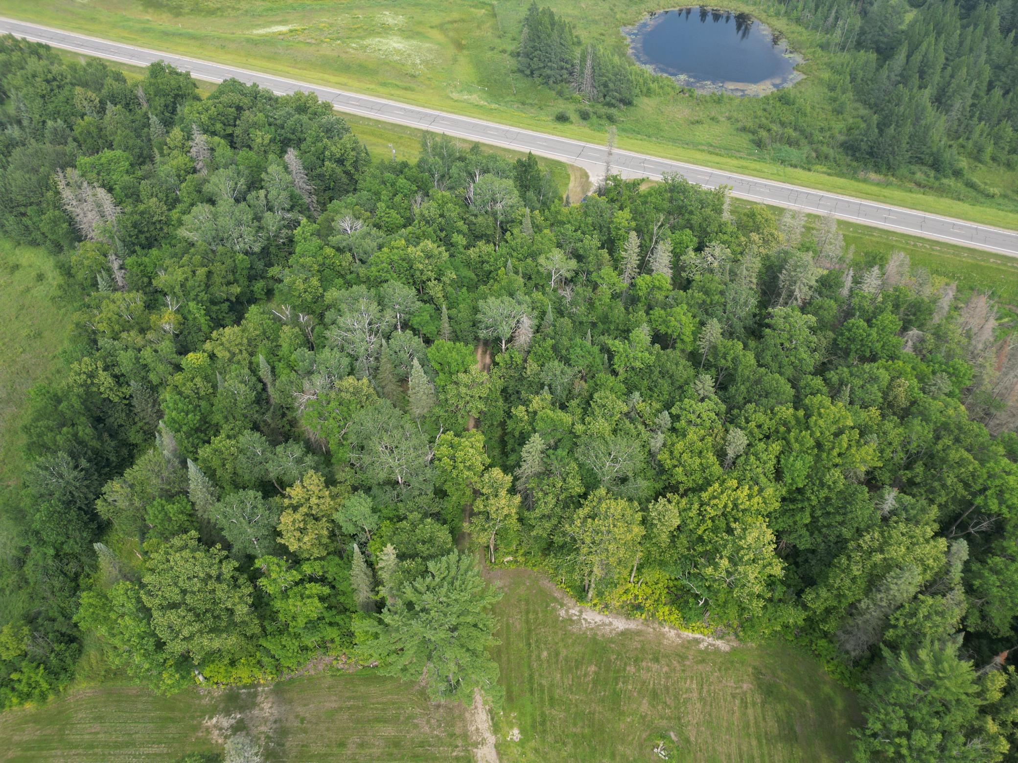 20891 Highway 64 Akeley, MN 56433 - Photo 10 of 53