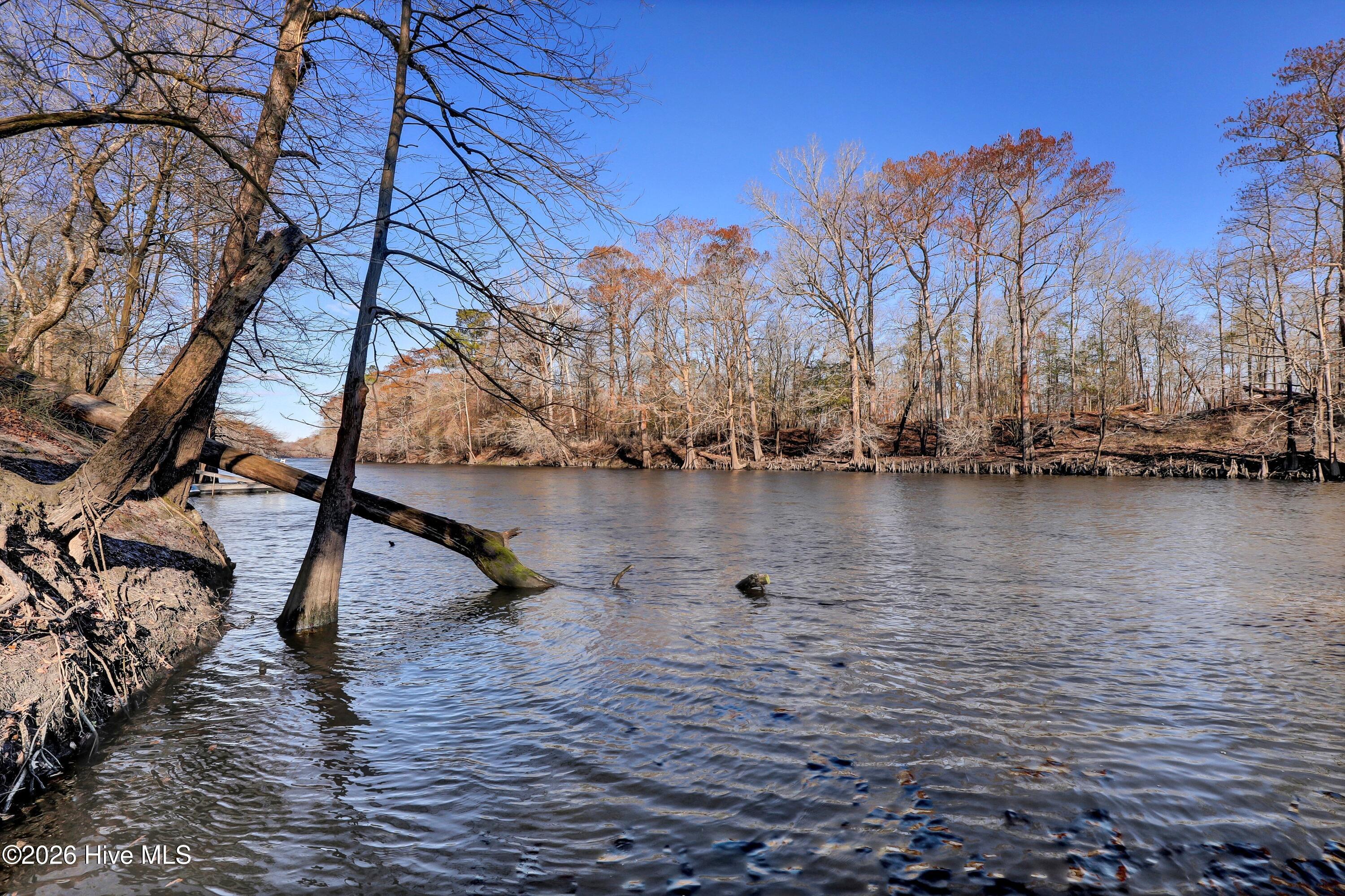Lot 19 Ruddy Duck Lane Willard, NC 28478 - Photo 11 of 34 012_6g8a1536_172
