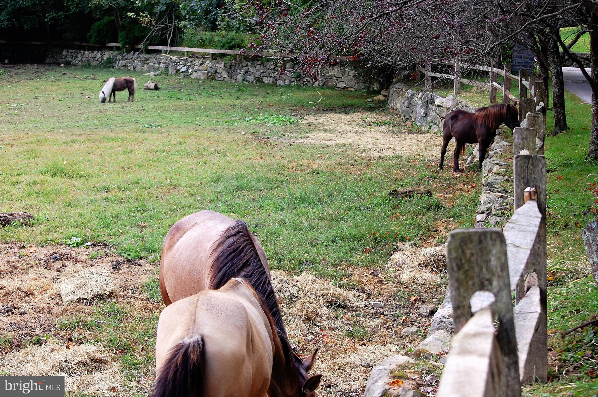 111 New Road Elverson, PA 19520 - Photo 101 of 107 first horse field