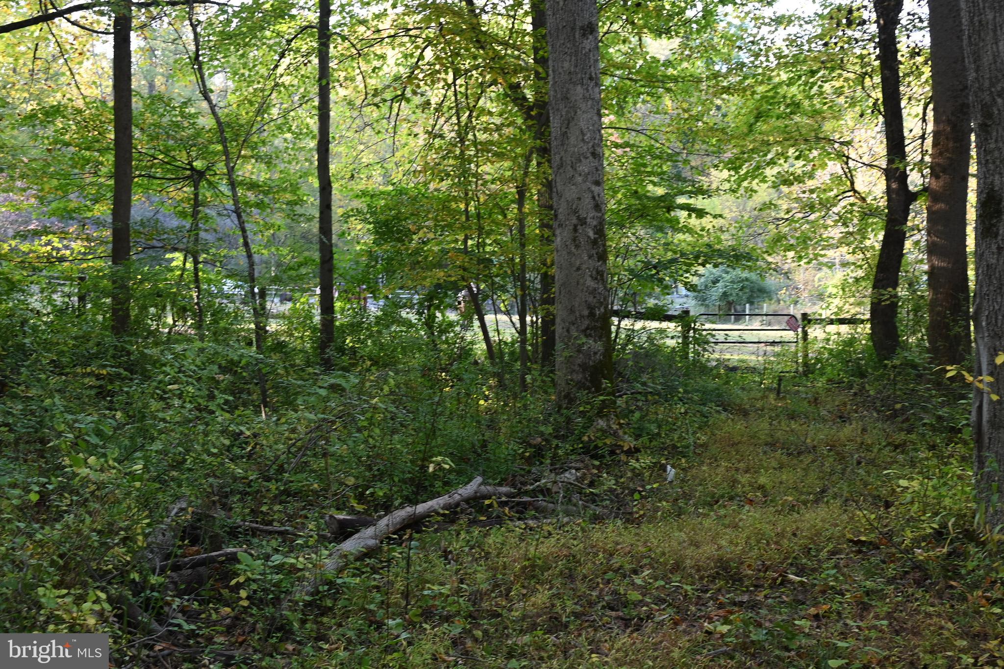 111 New Road Elverson, PA 19520 - Photo 103 of 107 wood behind the property
