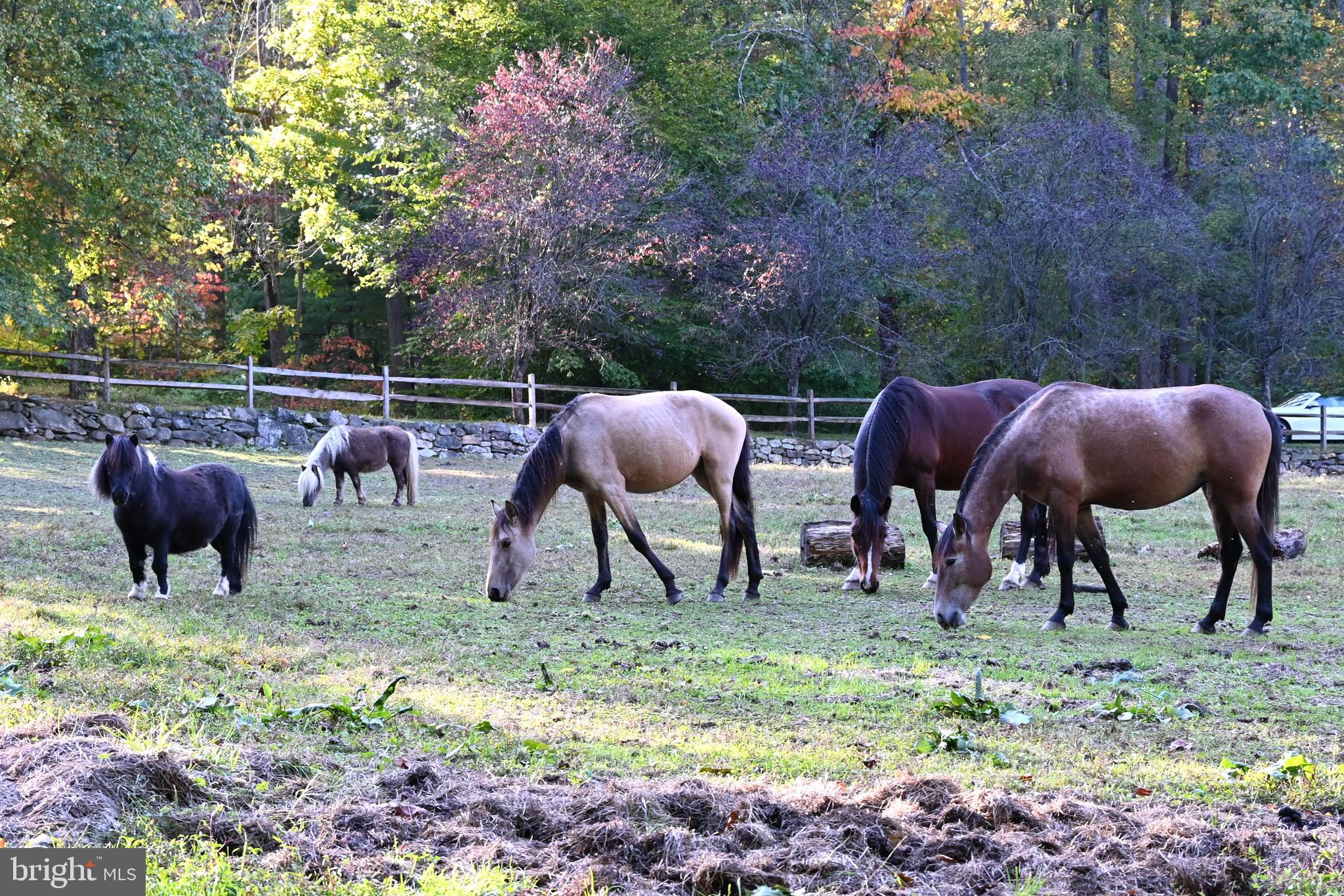 111 New Road Elverson, PA 19520 - Photo 105 of 107 more friends