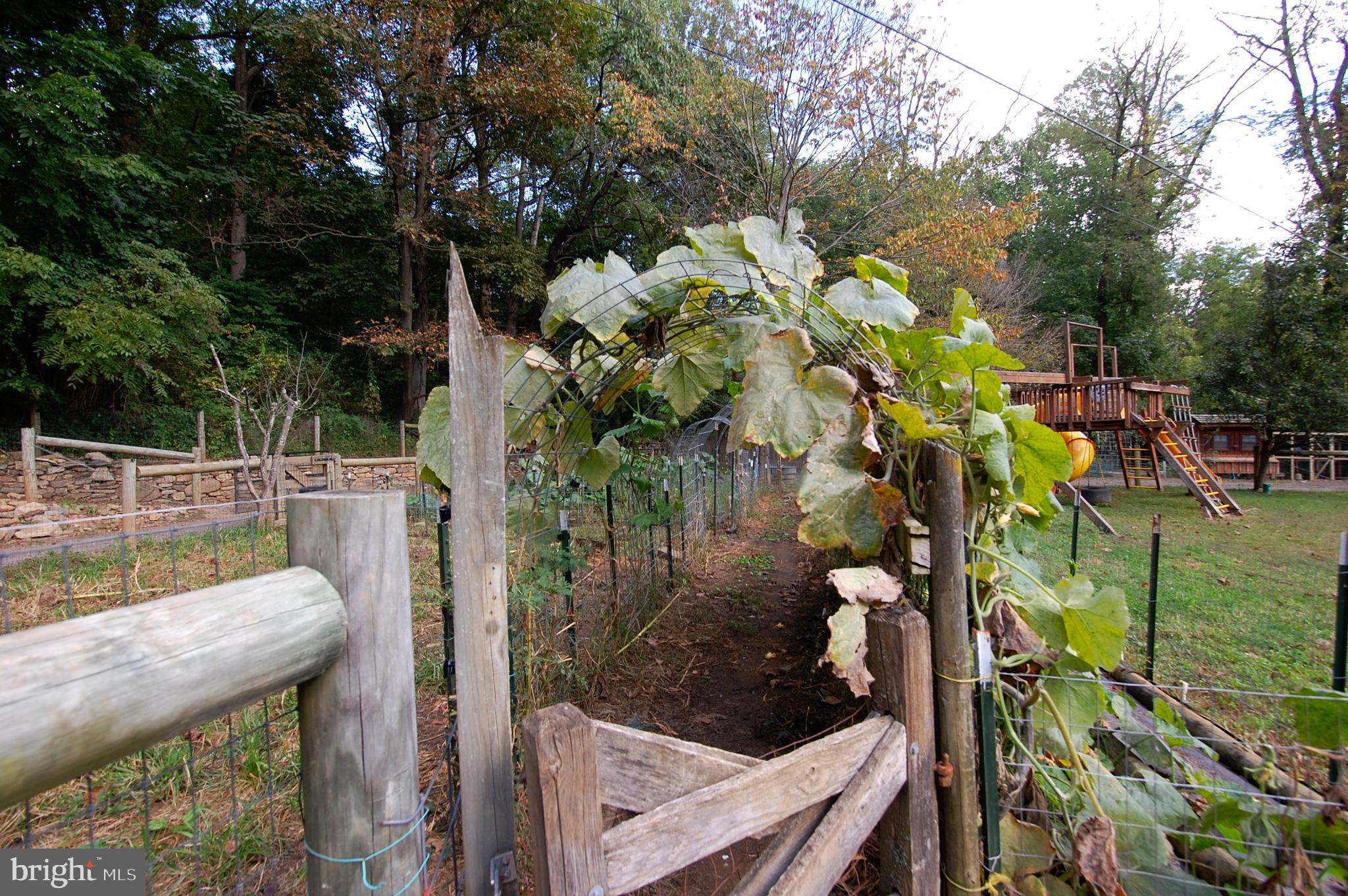 111 New Road Elverson, PA 19520 - Photo 76 of 107 gardens