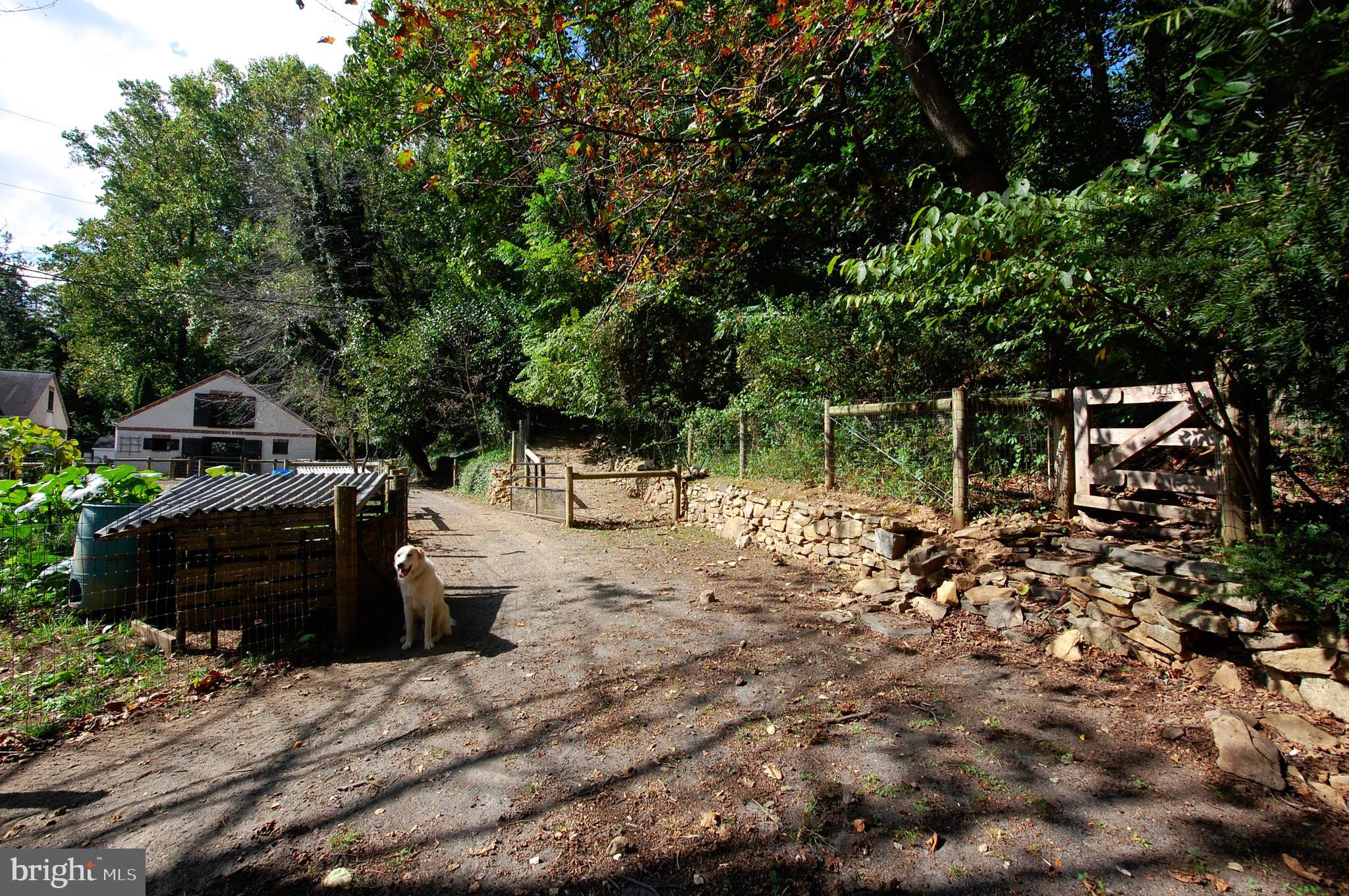 111 New Road Elverson, PA 19520 - Photo 83 of 107 horse track