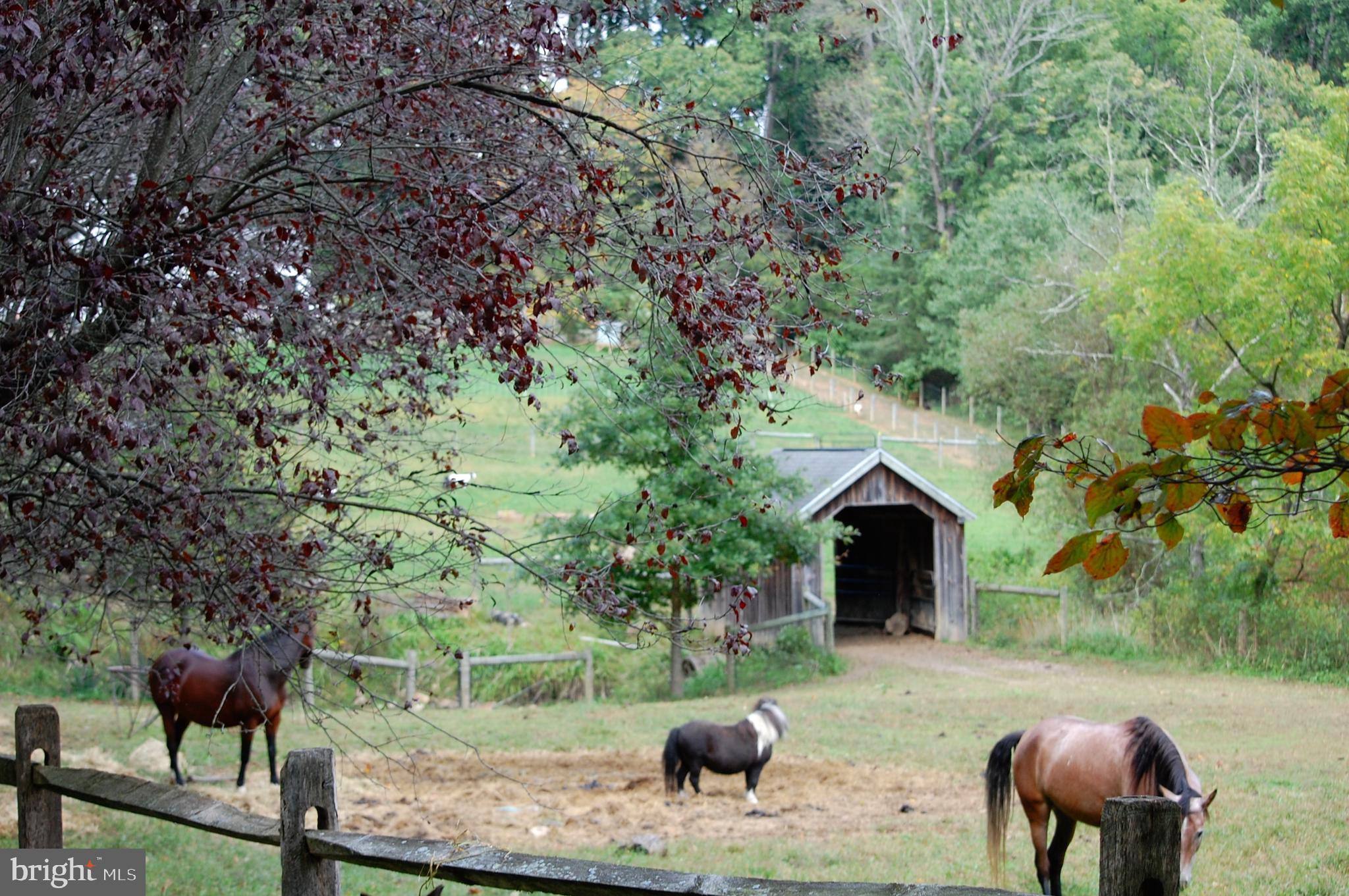111 New Road Elverson, PA 19520 - Photo 95 of 107