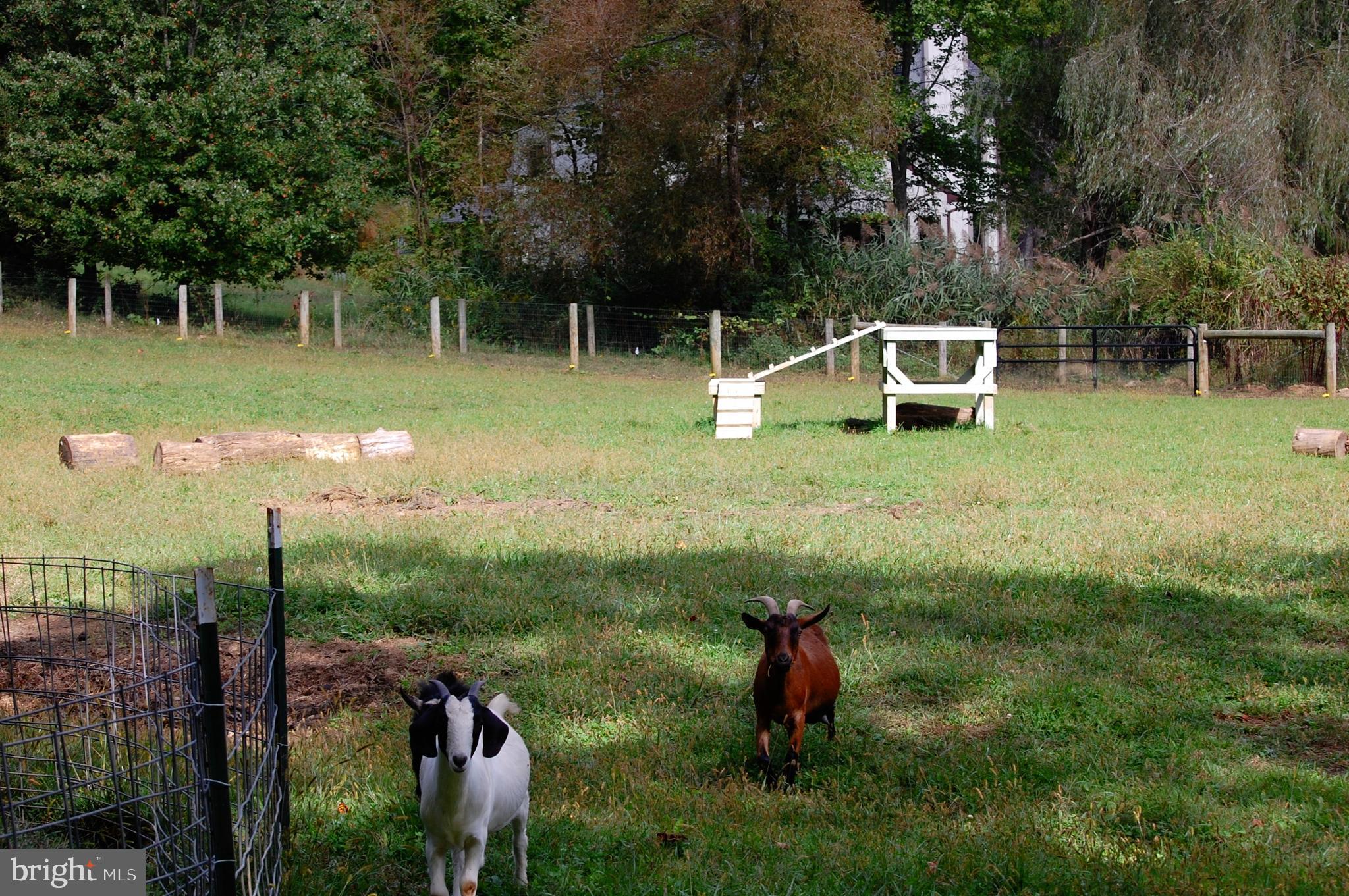 111 New Road Elverson, PA 19520 - Photo 97 of 107