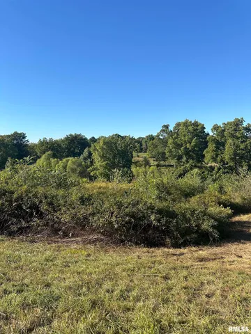 $74,900 | 0 Center Church Road, Villa Ridge, IL 62996