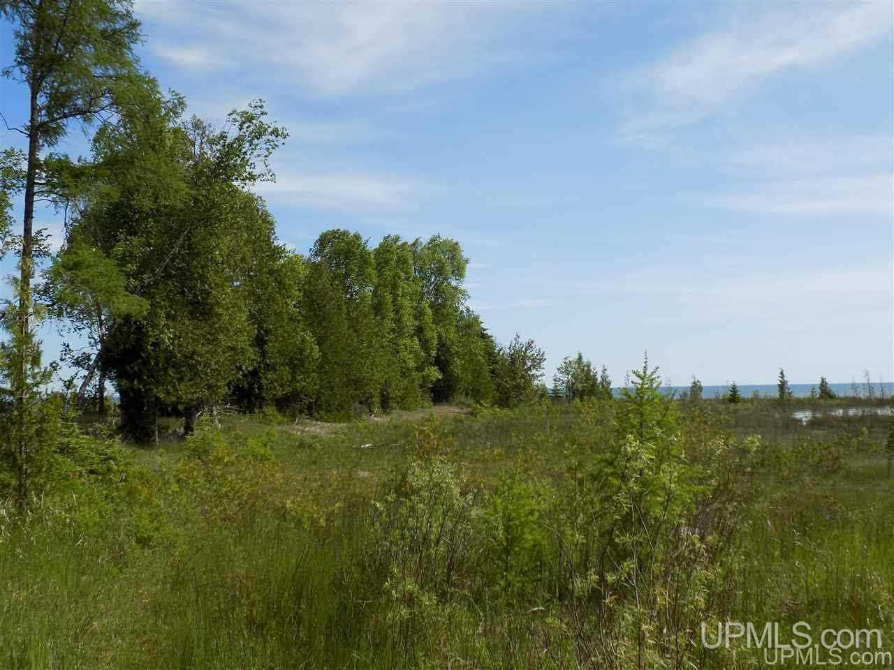 Tbd Miller Point Road Manistique, MI 49854 - Photo 8 of 18