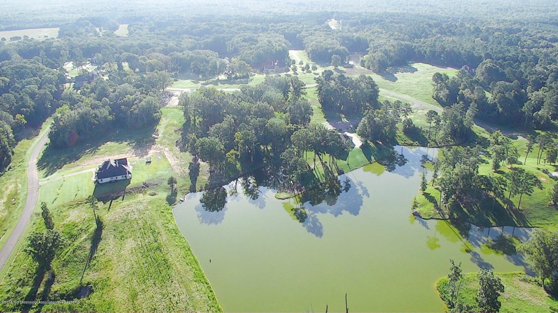 10 Plank Road Hernando, MS 38632 - Photo 8 of 10 Aerial East