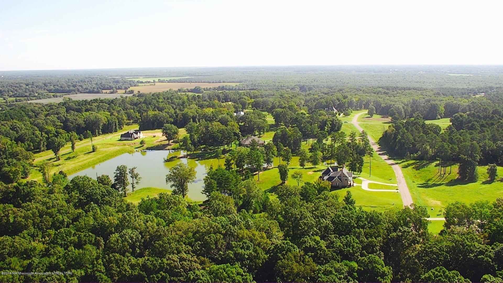 10 Plank Road Hernando, MS 38632 - Photo 10 of 10 Gray's Creek Full