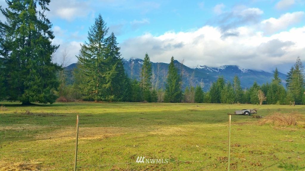 X2005 Falls Road Randle, WA 98377 - Photo 2 of 9 Gallery Image 2