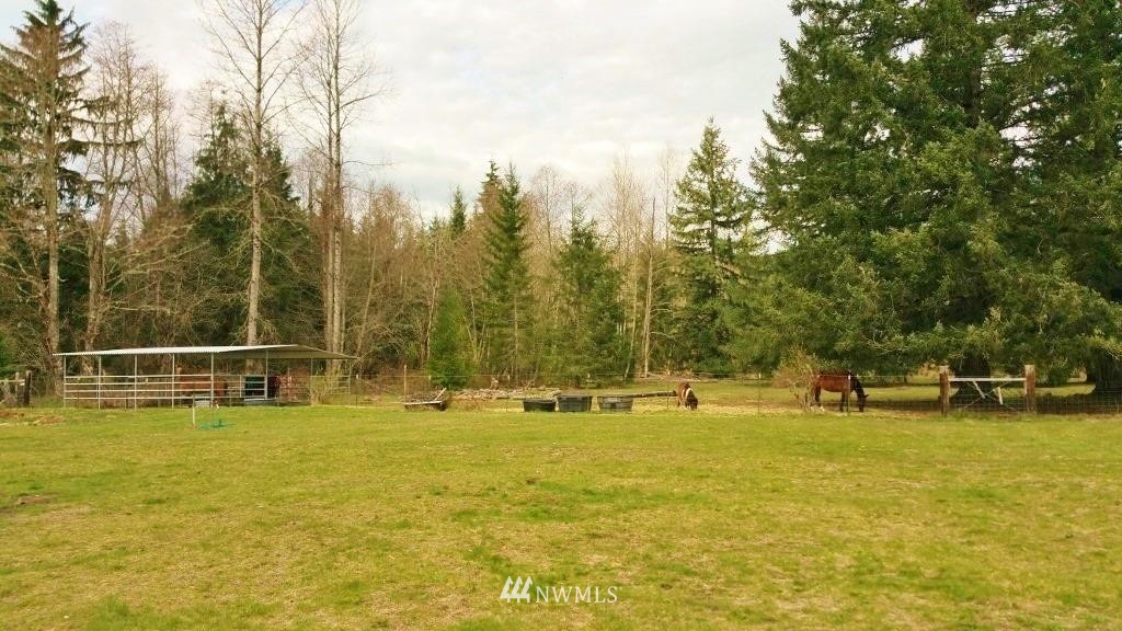X2005 Falls Road Randle, WA 98377 - Photo 6 of 9 Gallery Image 6