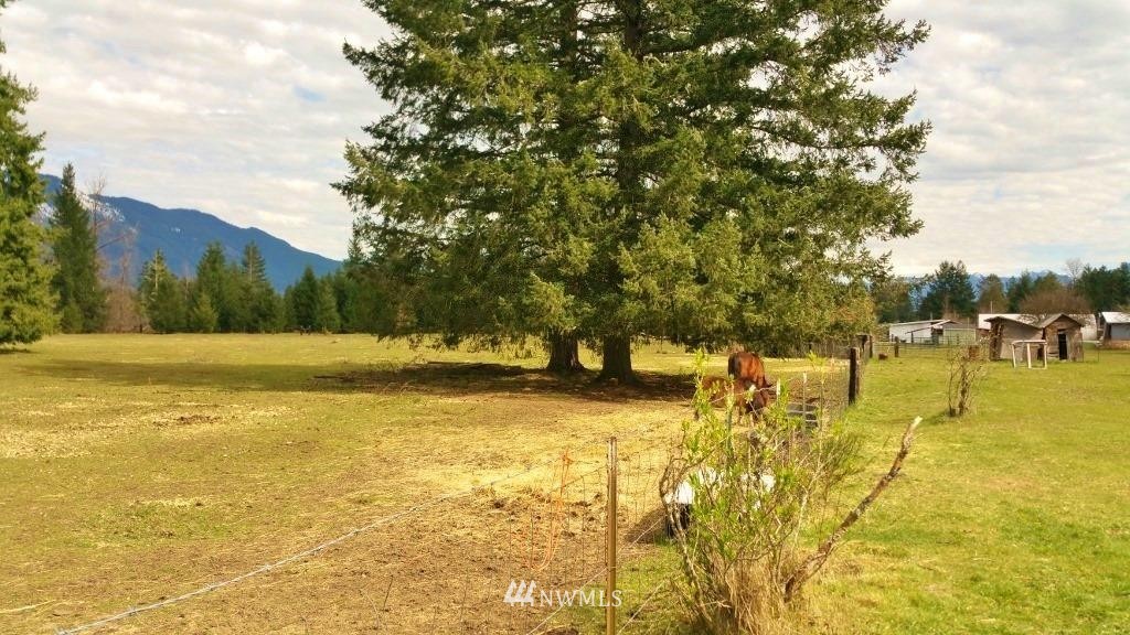X2005 Falls Road Randle, WA 98377 - Photo 7 of 9 Gallery Image 7