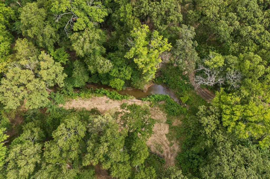 6467 Asher Road Alvarado, TX 76009 - Photo 5 of 40 a view of a forest with a tree