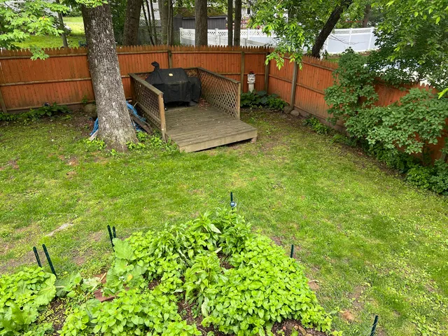 a lake view with a bench in front of it