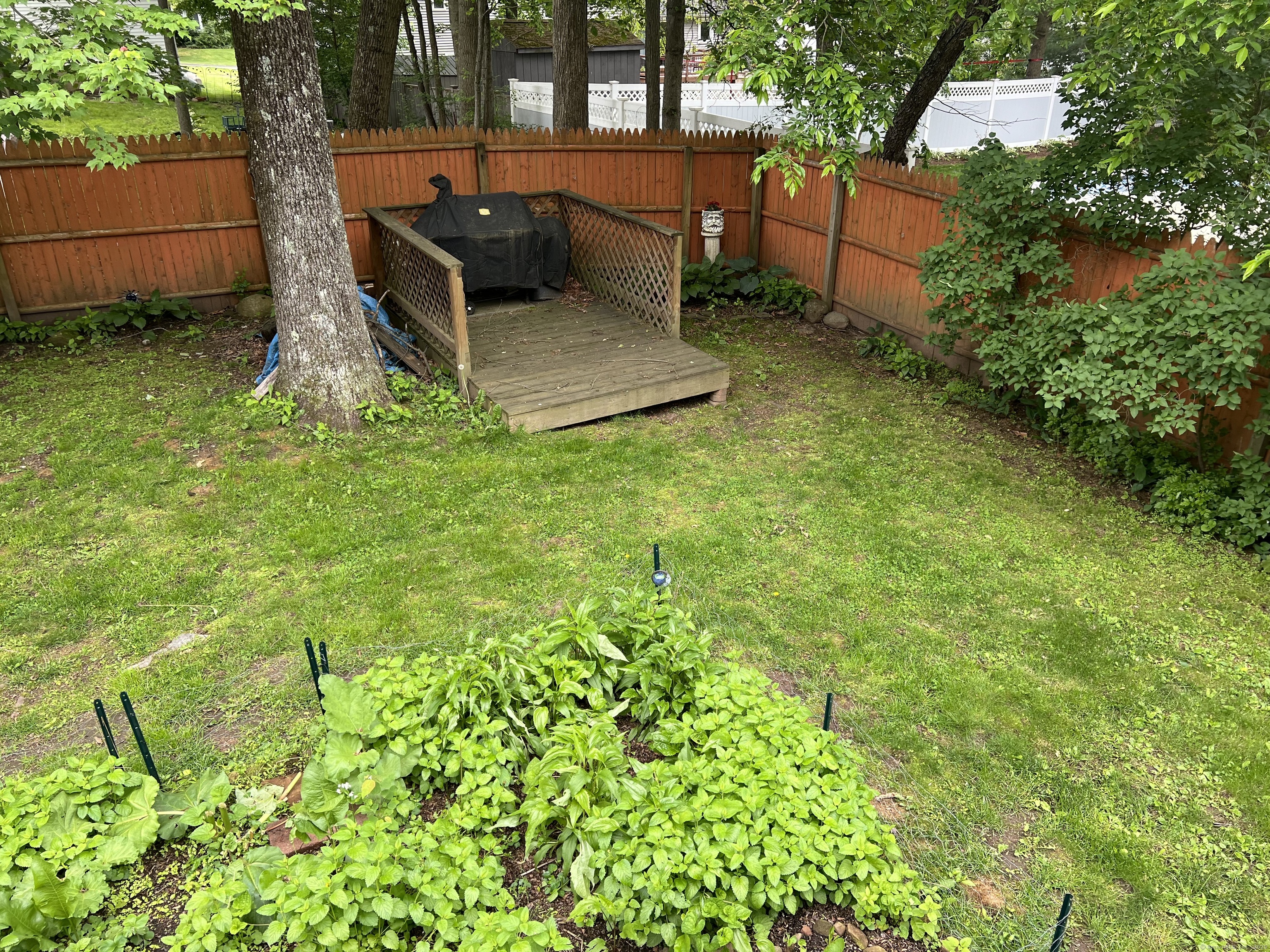 61 Litchfield Road Farmington, CT 06085 - Photo 25 of 27 a view of a backyard with sitting area