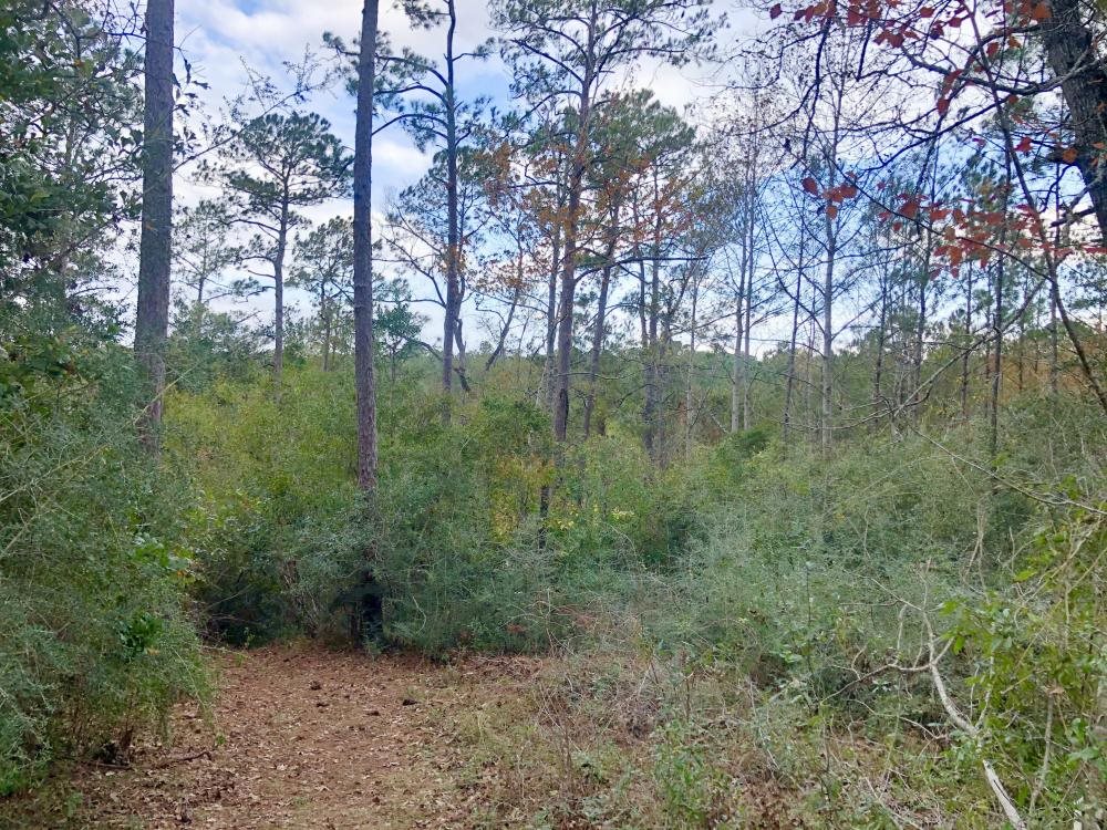Tara Boulevard Daphne, AL 36527 - Photo 3 of 11
