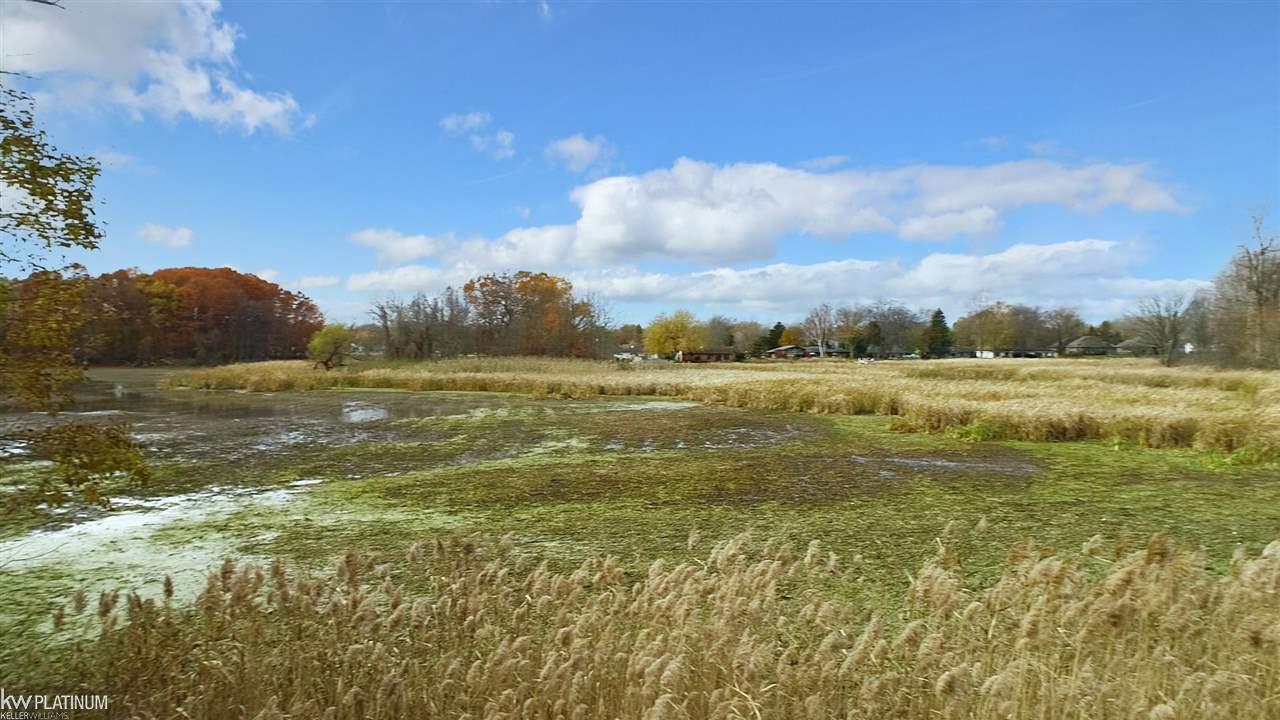 33479 Hooker Road Chesterfield, MI 48047 - Photo 56 of 56
