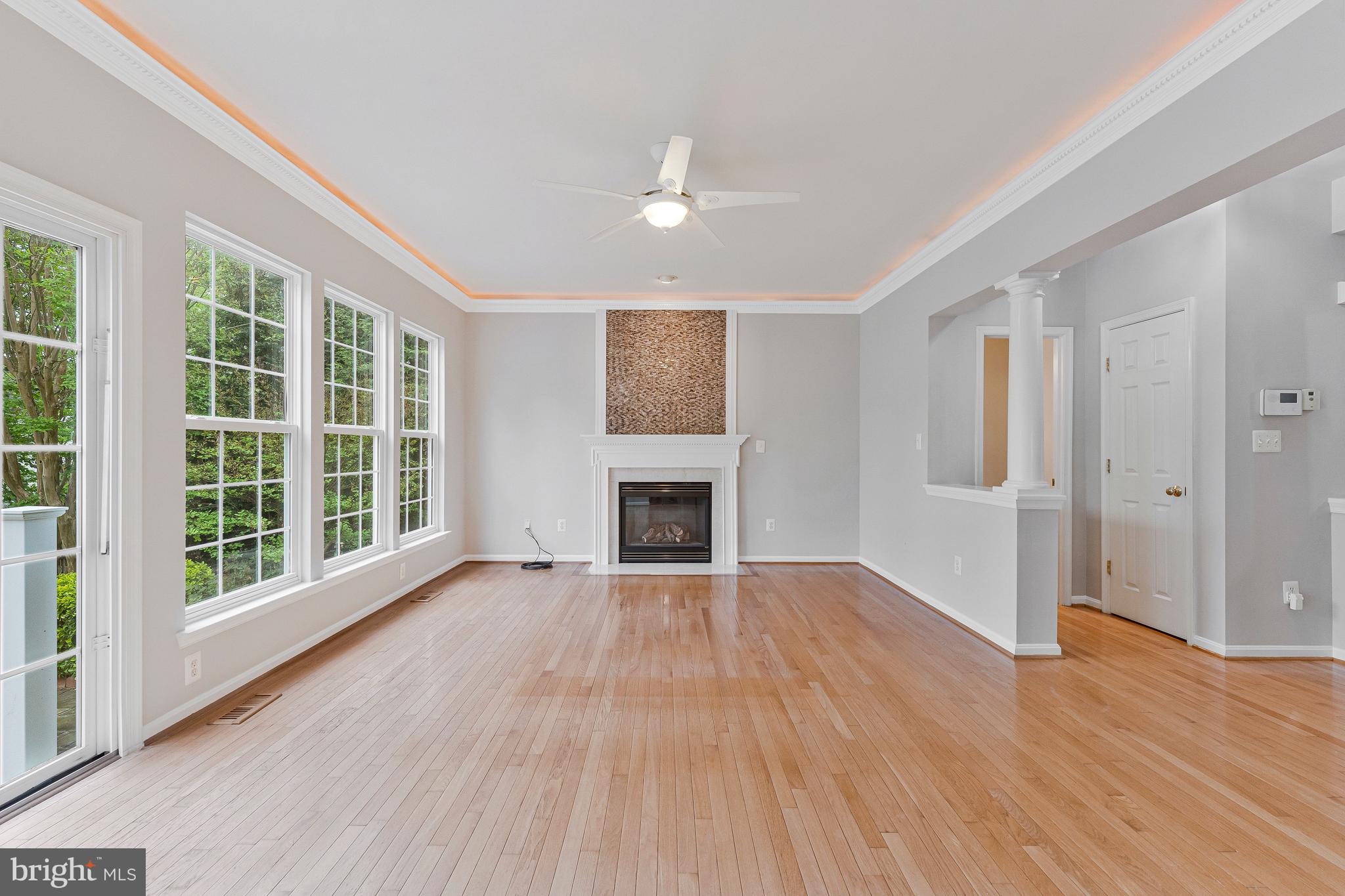 18218 Red Rock Way Leesburg, VA 20176 - Photo 12 of 49 Family Room with Fireplace