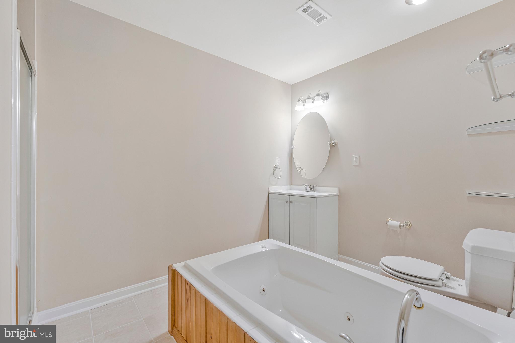 18218 Red Rock Way Leesburg, VA 20176 - Photo 41 of 49 3rd Bathroom