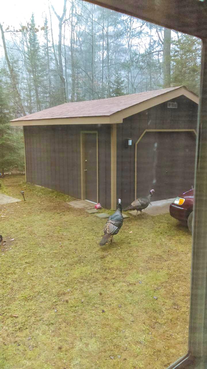 2670 Rux Road Woodruff, WI 54568 - Photo 16 of 17 Gallery Image 16