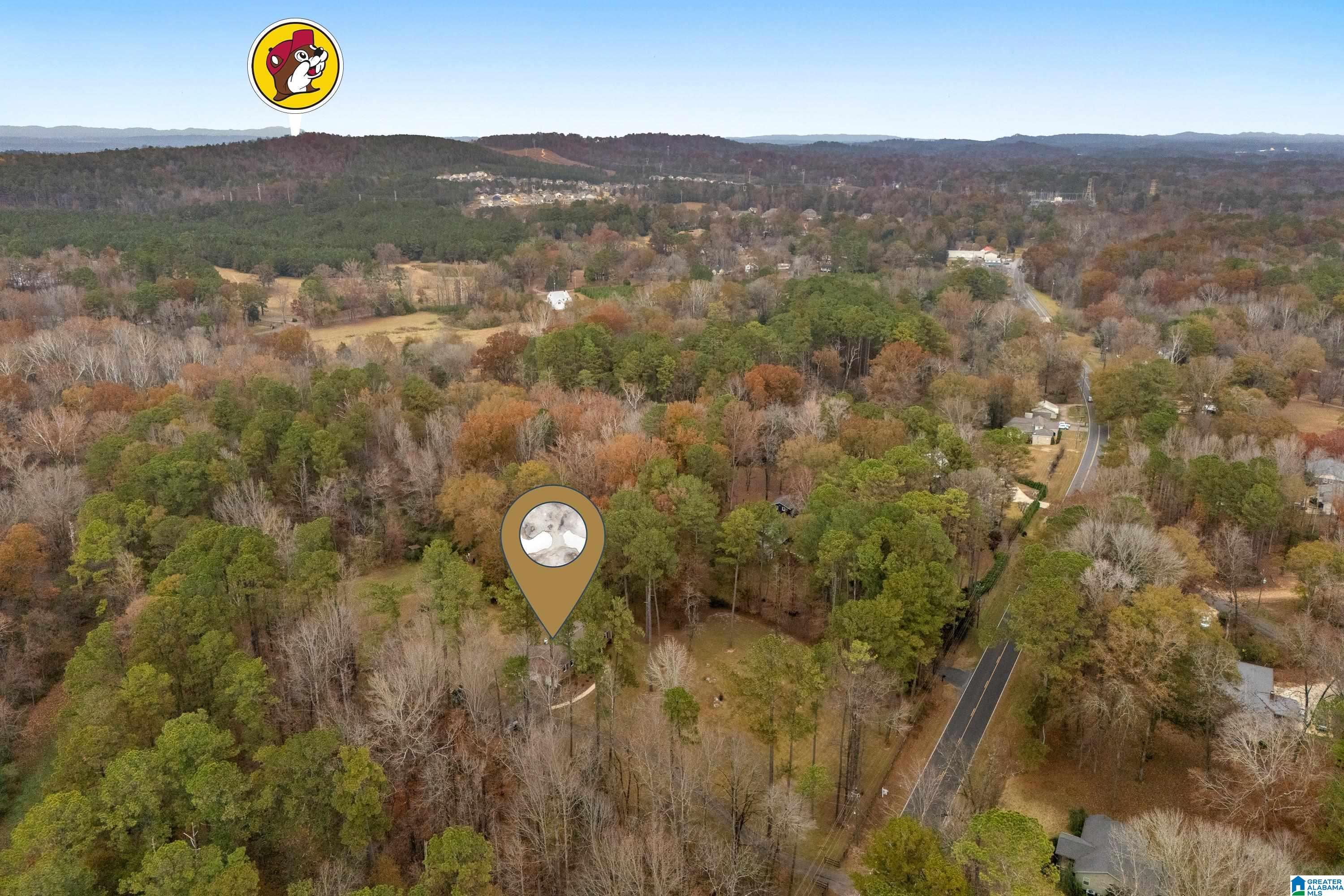 2320 Montevallo Road Southwest Leeds, AL 35094 - Photo 61 of 62