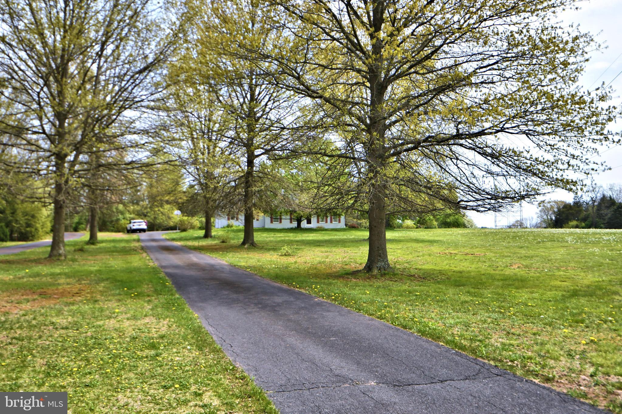 684 Store Road Harleysville, PA 19438 - Photo 3 of 57 Long Tree Lined Driveway