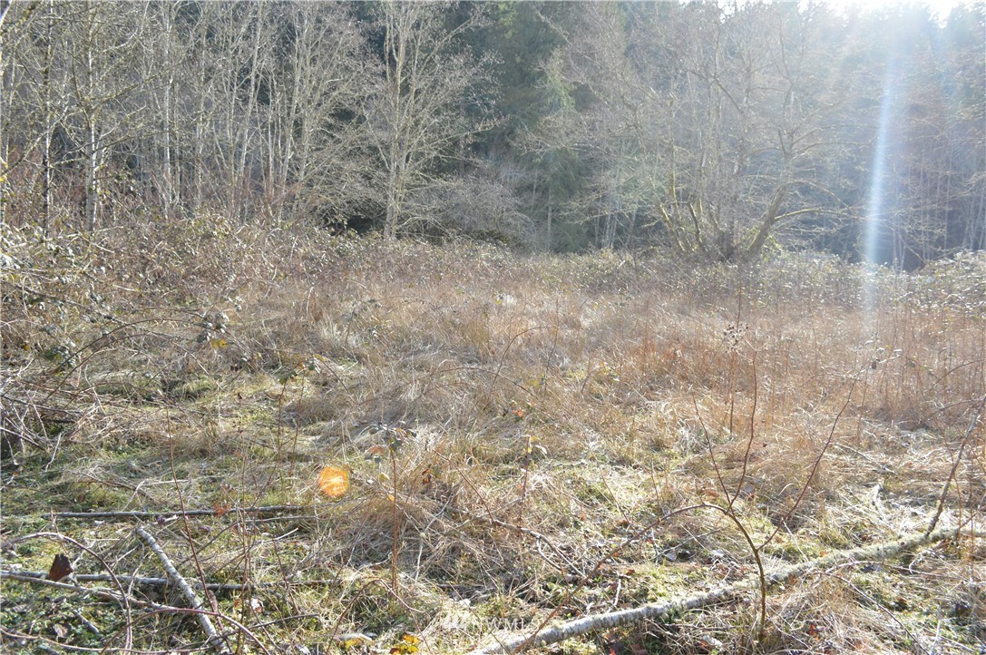 5-8 Old Samish Road Bellingham, WA 98229 - Photo 2 of 12 Gallery Image 2