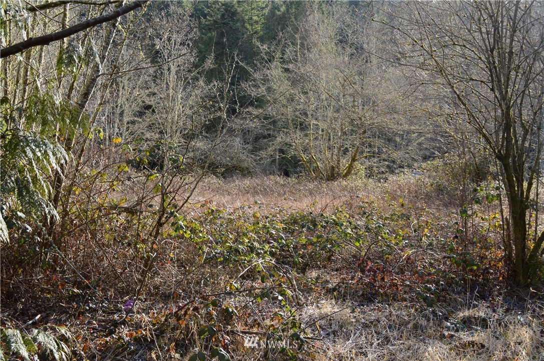 5-8 Old Samish Road Bellingham, WA 98229 - Photo 11 of 12 Gallery Image 11