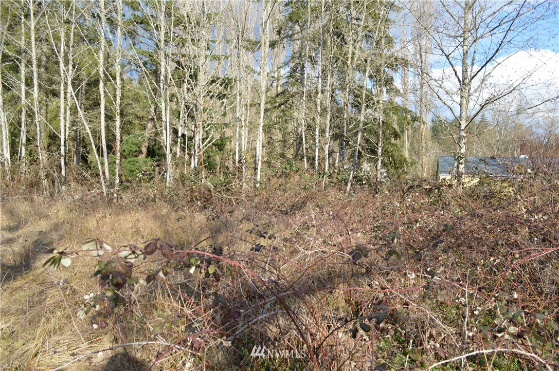 5-8 Old Samish Road Bellingham, WA 98229 - Photo 12 of 12 Gallery Image 12