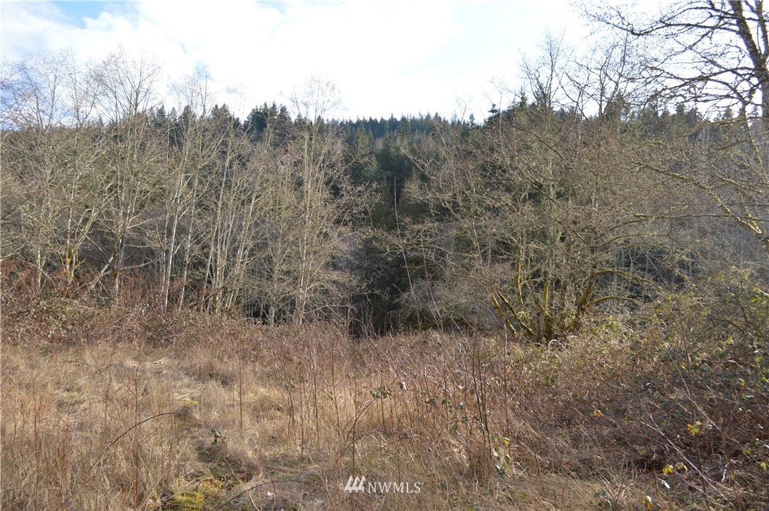 5-8 Old Samish Road Bellingham, WA 98229 - Photo 3 of 12 Gallery Image 3