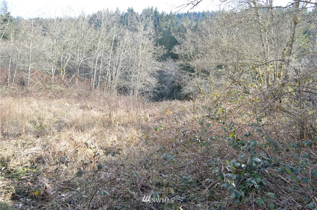 5-8 Old Samish Road Bellingham, WA 98229 - Photo 4 of 12 Gallery Image 4