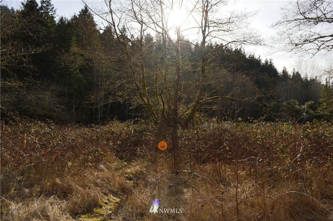 5-8 Old Samish Road Bellingham, WA 98229 - Photo 7 of 12 Gallery Image 7