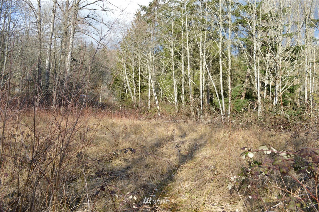 5-8 Old Samish Road Bellingham, WA 98229 - Photo 9 of 12 Gallery Image 9