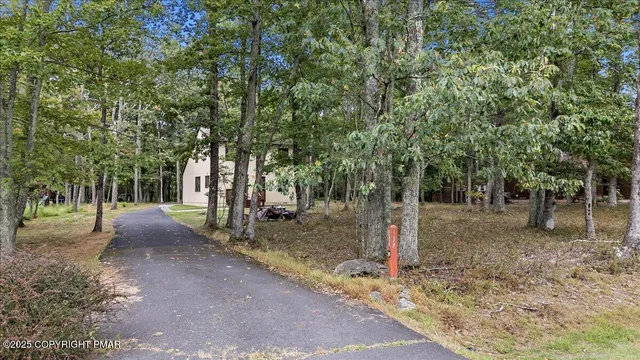 a view of a tree in the middle of a yard