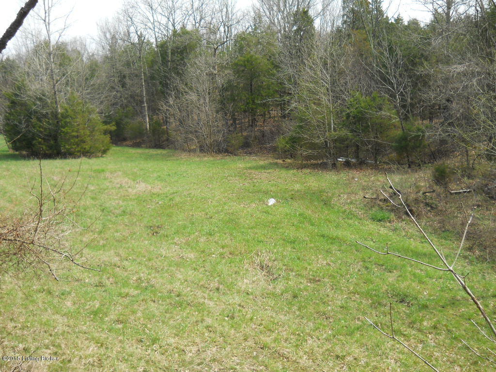 10509 Back Run Road Louisville, KY 40299 - Photo 5 of 7 031.JPG