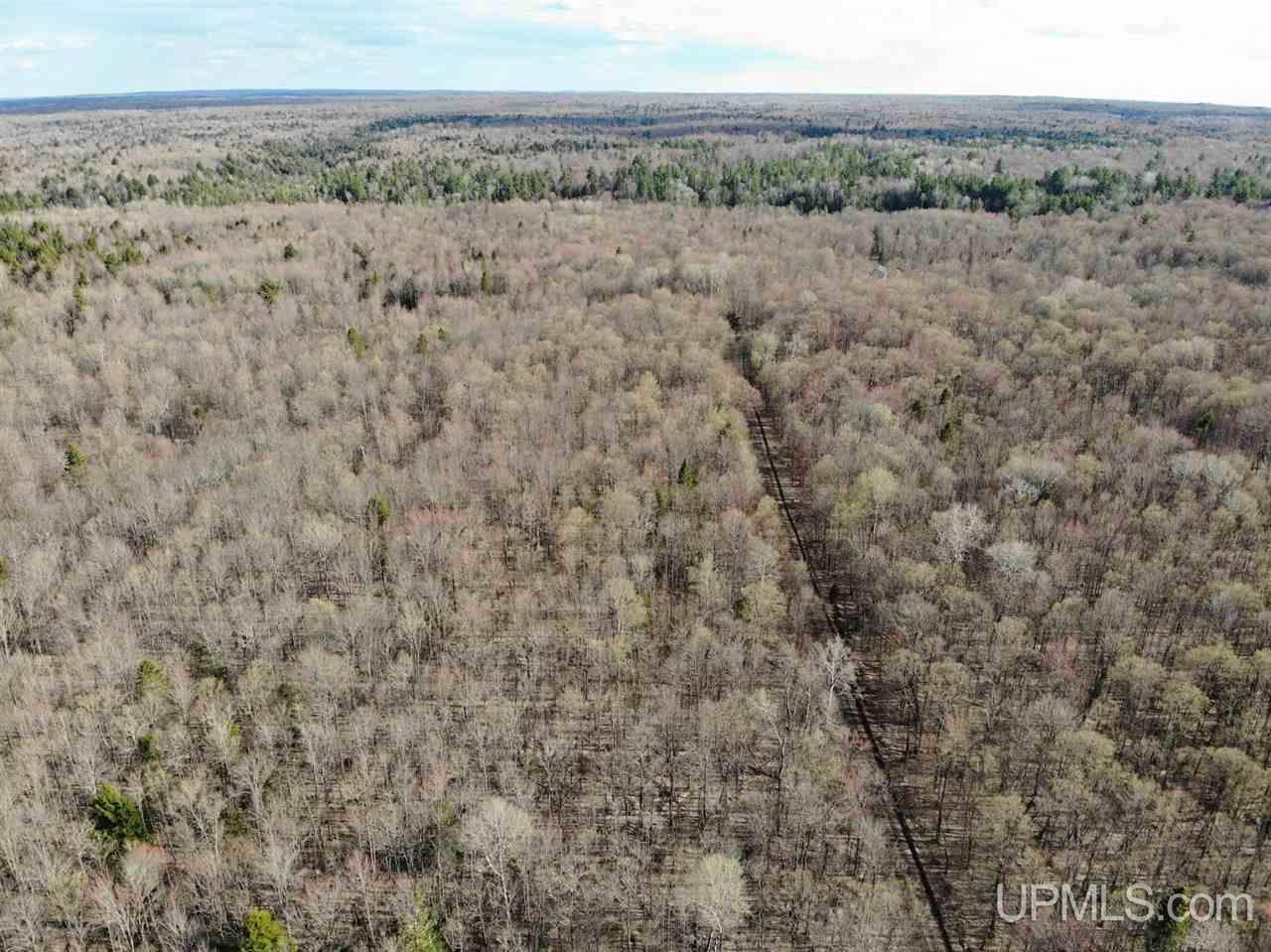 109 Orange Road, Unit 109 Michigamme, MI 49861 - Photo 13 of 13