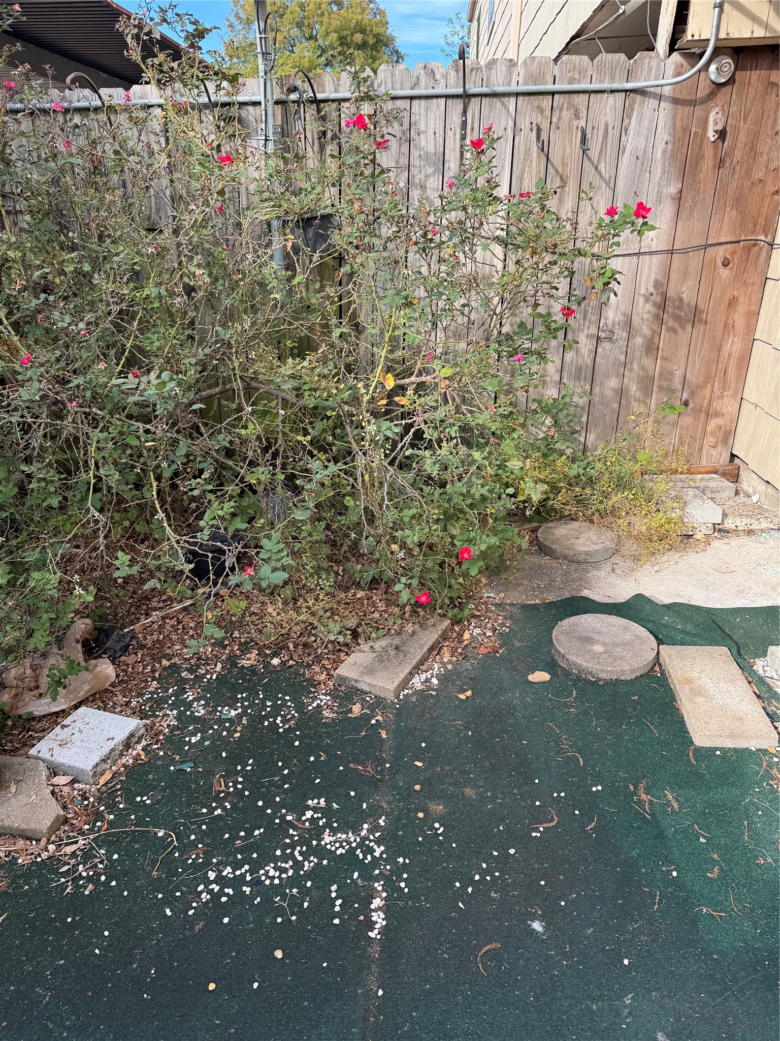 7815 Grove Ridge Drive Houston, TX 77061 - Photo 26 of 28 a view of a street with flower plants