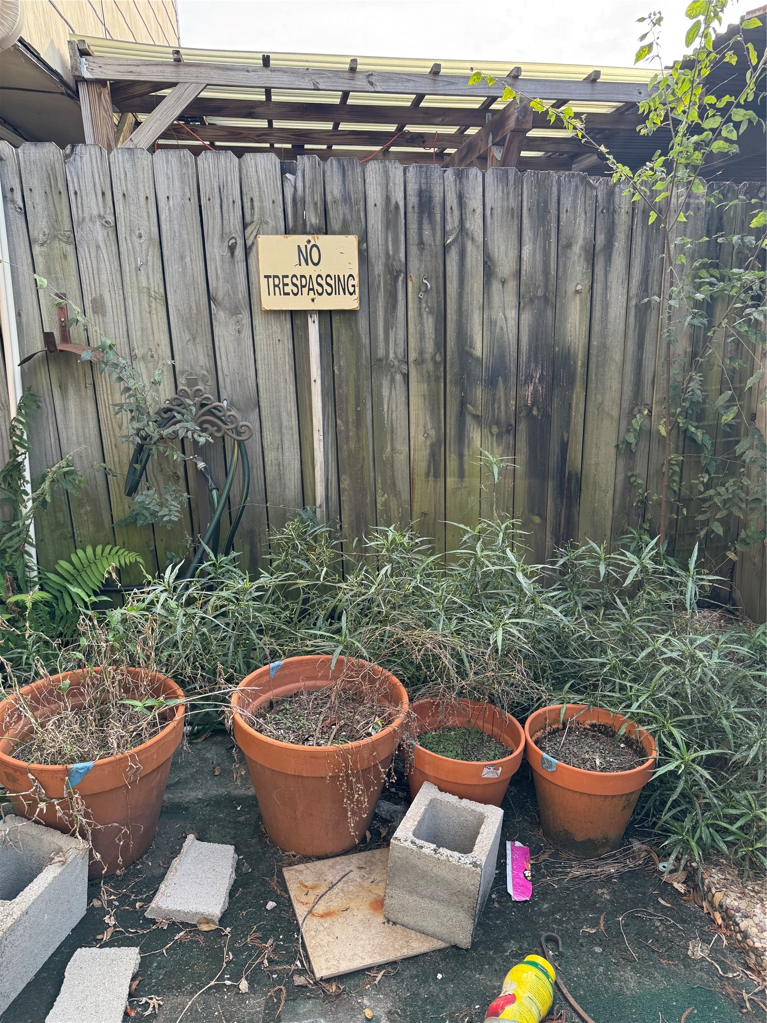 7815 Grove Ridge Drive Houston, TX 77061 - Photo 28 of 28 a view of a backyard with potted plants