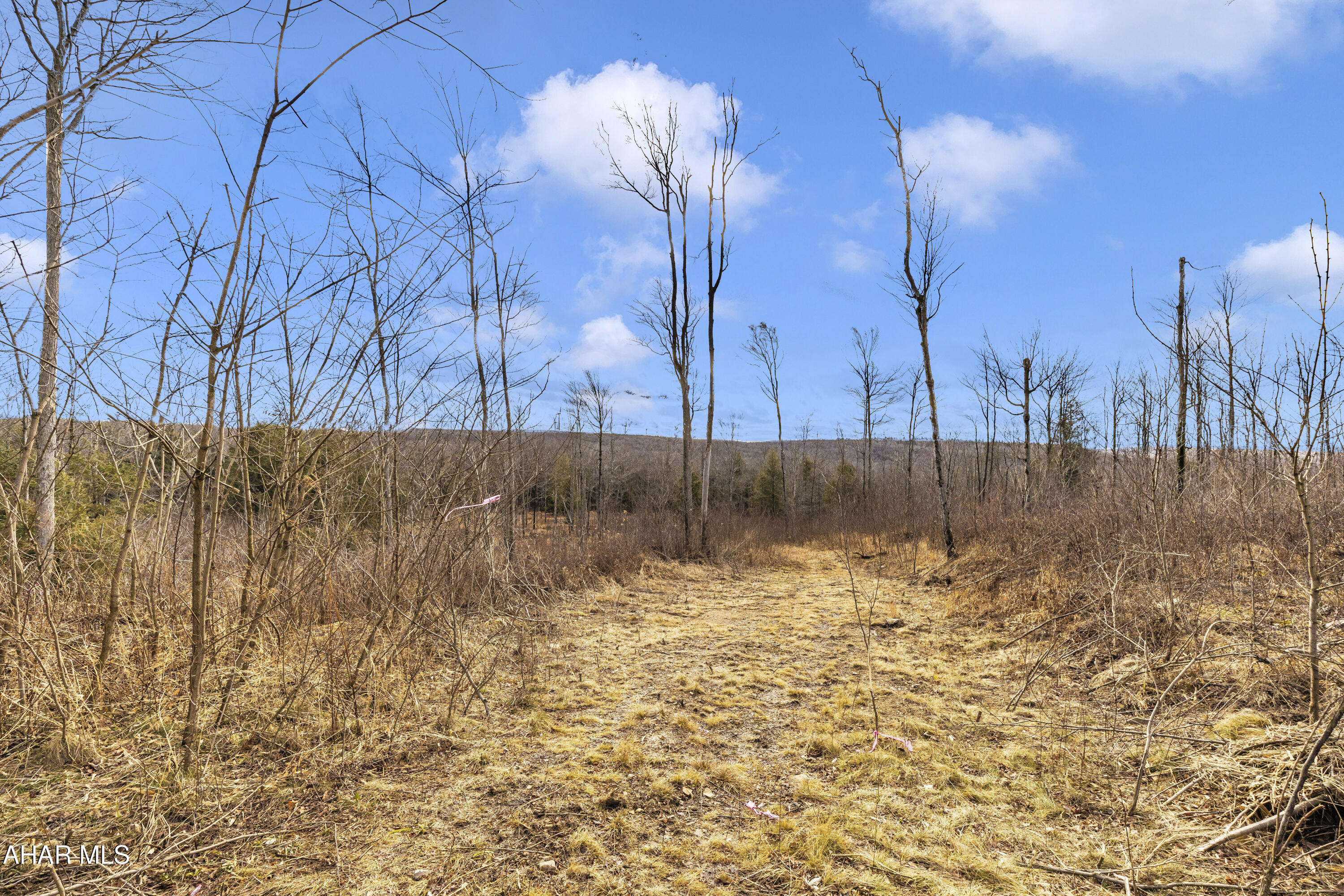 0 Lot 6 Mountain Road Road Lilly, PA 15938 - Photo 26 of 33