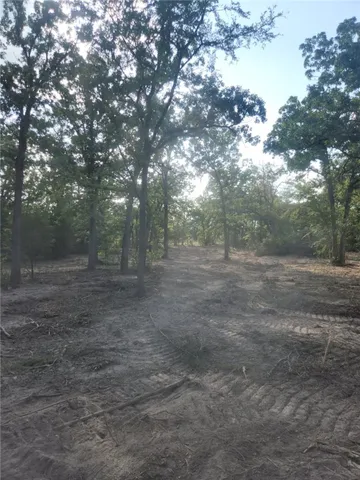 $160,000 | 13319 Tyler Lane, Franklin, TX 77856