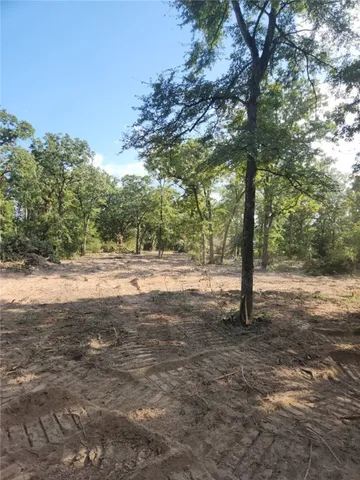 $160,000 | 13319 Tyler Lane, Franklin, TX 77856