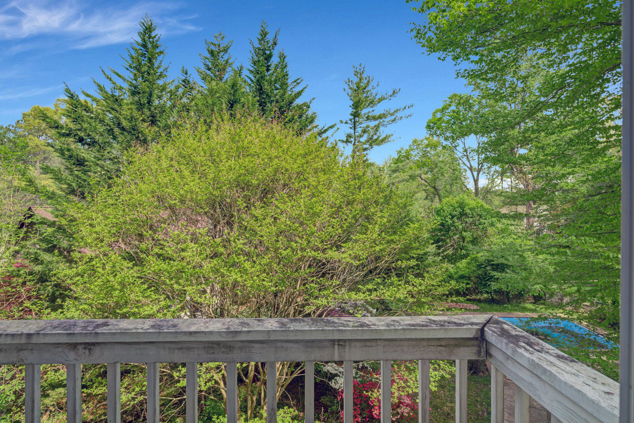 10910 Miller Road Oakton, VA 22124 - Photo 41 of 58 Serene balcony view of lush greenery.