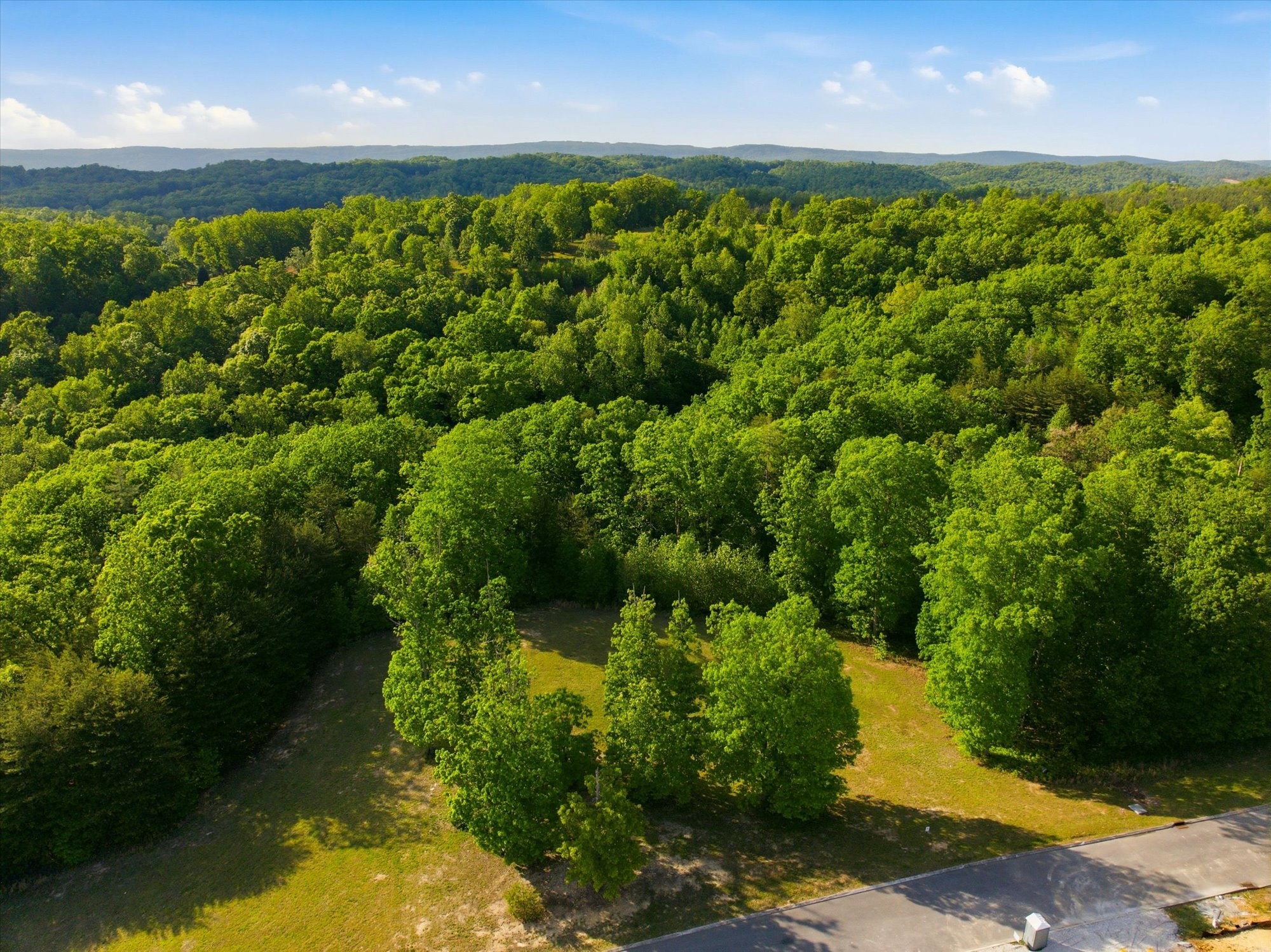 198 River Run Trail Spring City, TN 37381 - Photo 2 of 22 a view of a garden