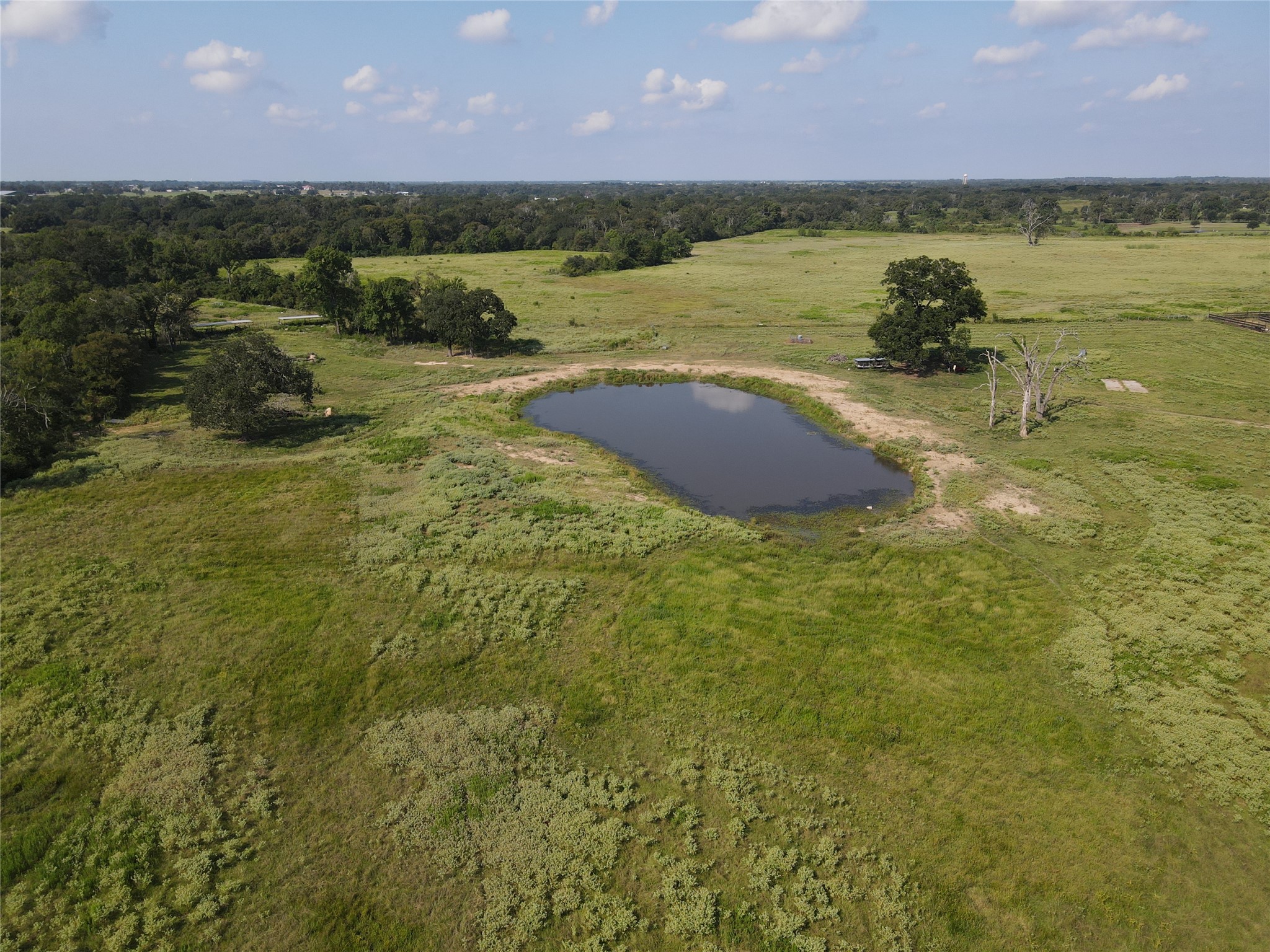 0 Mellman Road Hempstead, TX 77445 - Photo 5 of 14