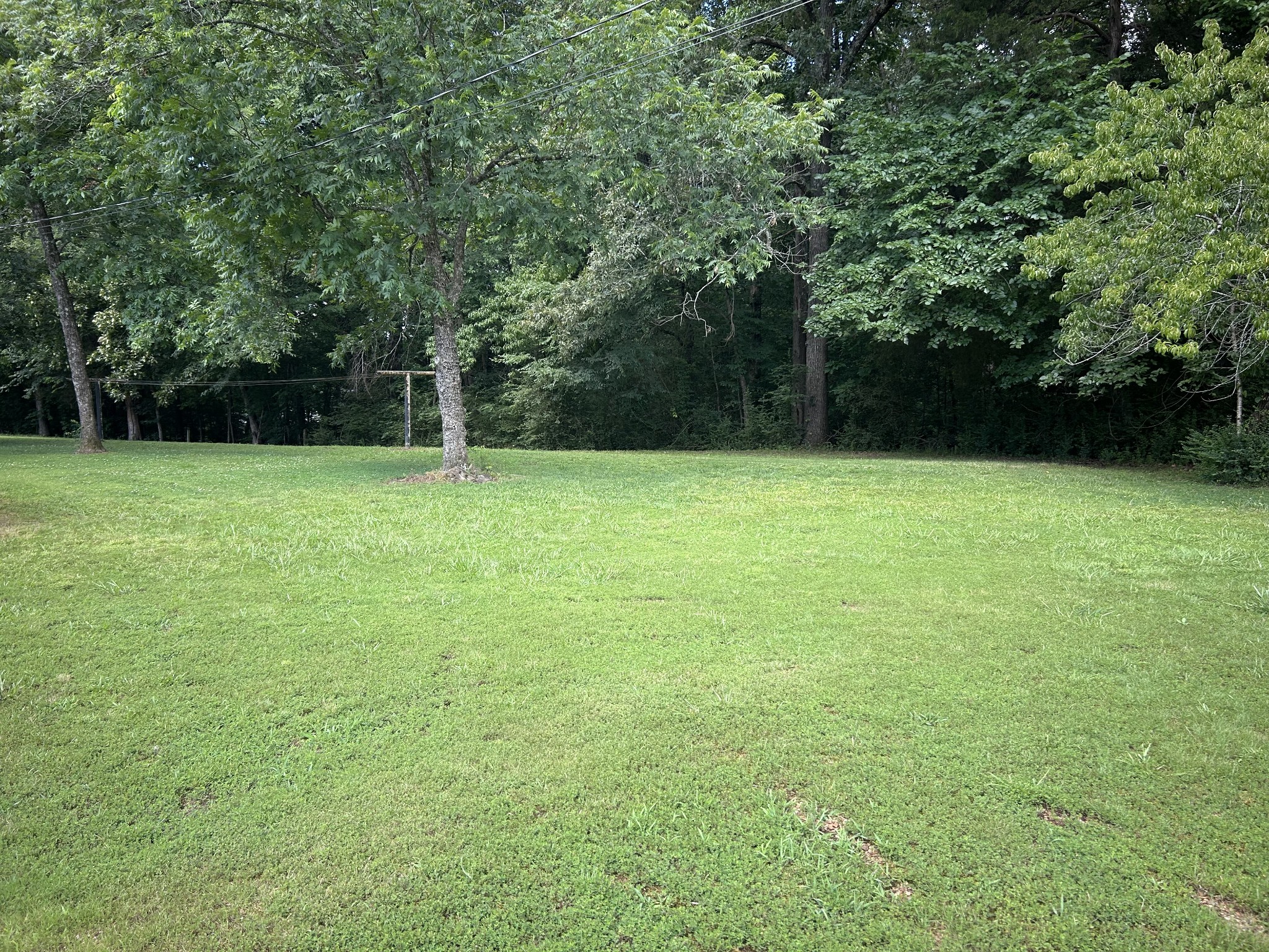 25 Beaver Road Eva, TN 38333 - Photo 5 of 26