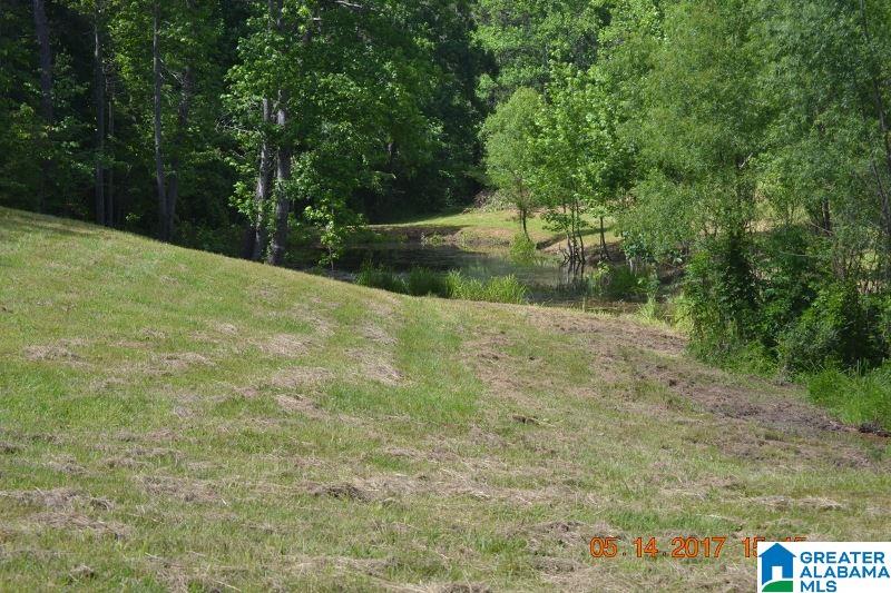 2257 County Road 55 Clanton, AL 35046 - Photo 5 of 35