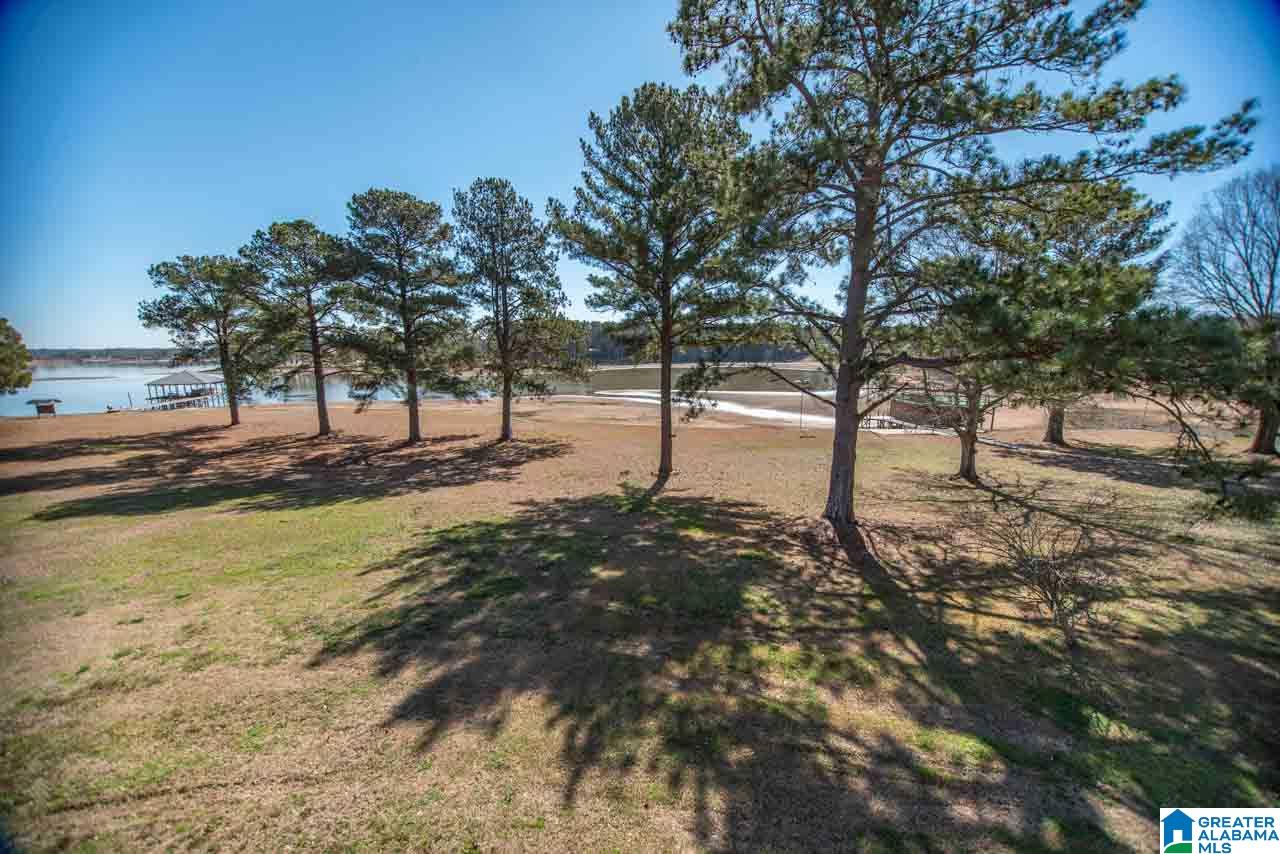 17 Seddon Point Pell City, AL 35128 - Photo 33 of 39