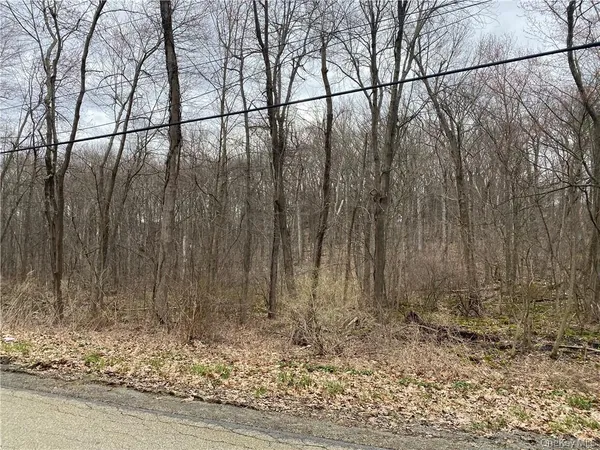 $59,999 | South Mill Street, Newburgh, NY 12550