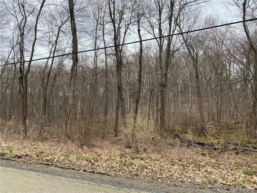 South Mill Street Newburgh, NY 12550 - Photo 2 of 4 a view of a yard