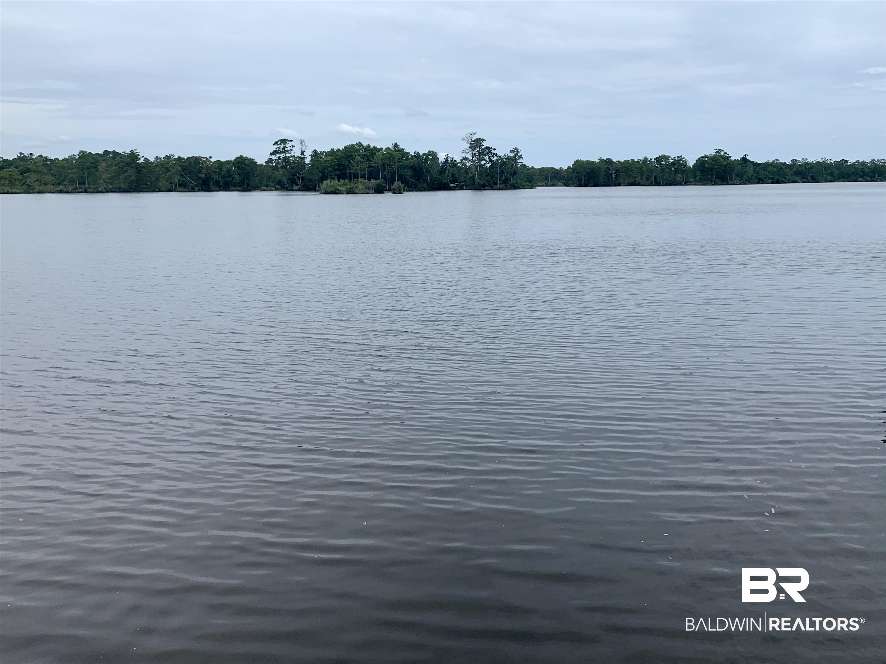 14099 Isle Of Pines Drive Foley, AL 36535 - Photo 15 of 25